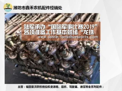 龙珠体育
