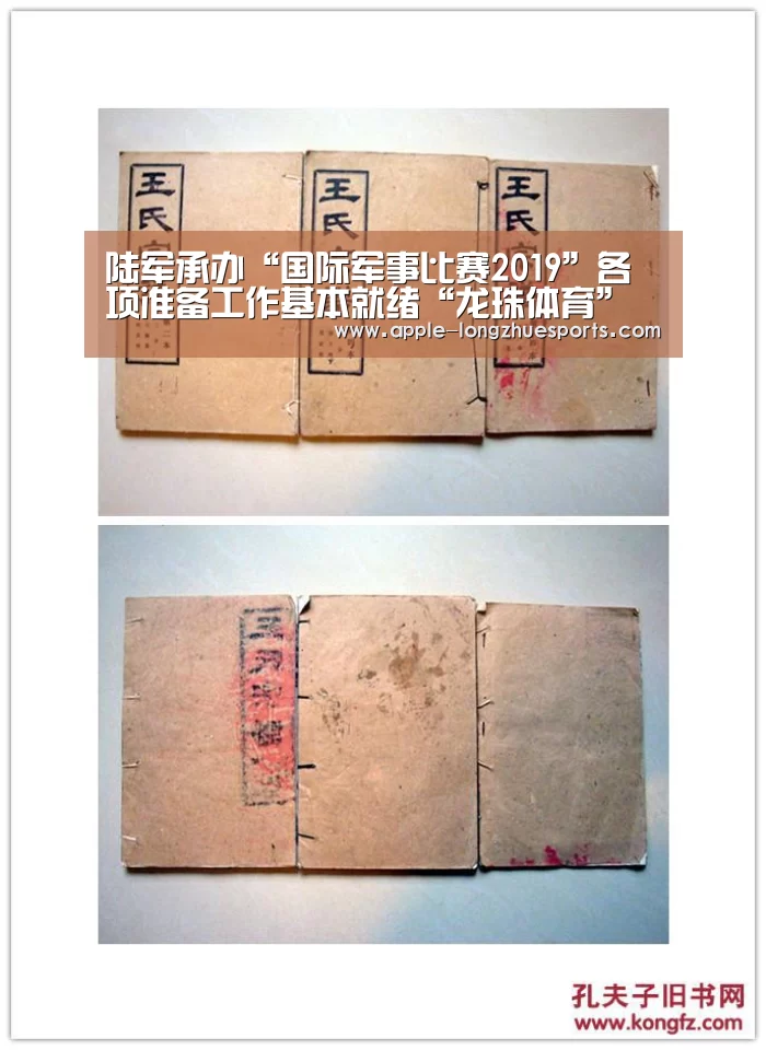 龙珠体育