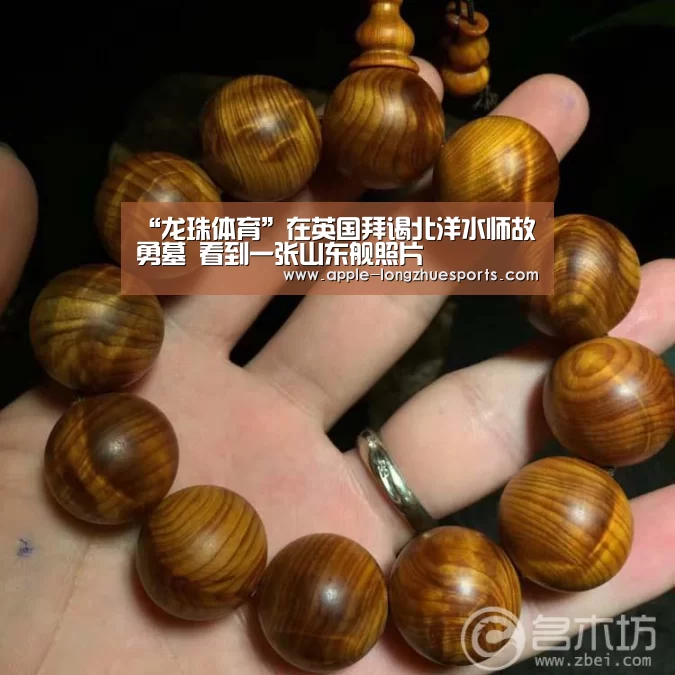 “龙珠体育”在英国拜谒北洋水师故勇墓 看到一张山东舰照片(图2) 龙珠体育
