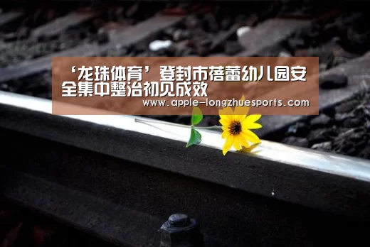 ‘龙珠体育’登封市蓓蕾幼儿园安全集中整治初见成效(图3) 龙珠体育
