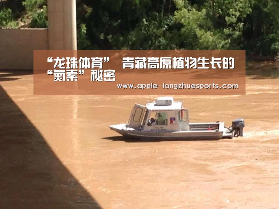 “龙珠体育”
青藏高原植物生长的“氮素”秘密(图2) 龙珠体育