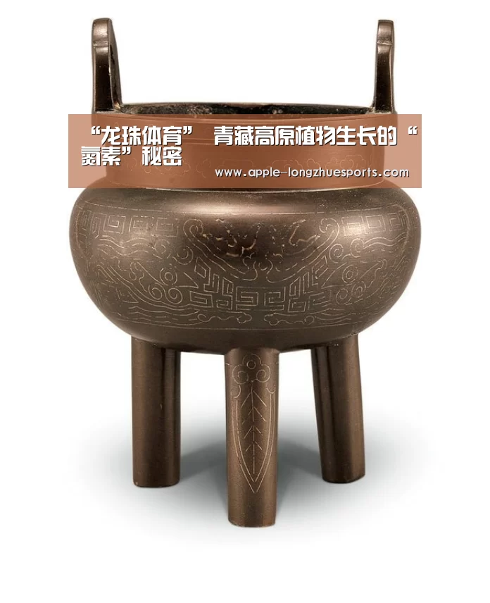 “龙珠体育”
青藏高原植物生长的“氮素”秘密(图5) 龙珠体育