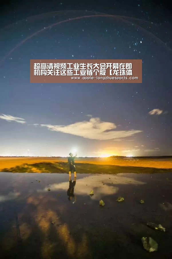 龙珠体育