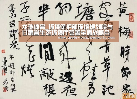 龙珠体育