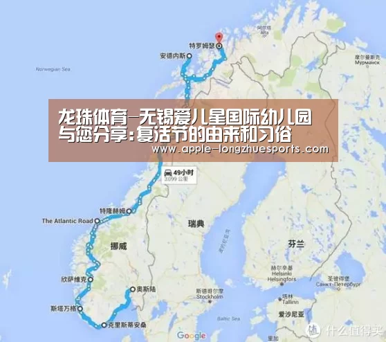 龙珠体育