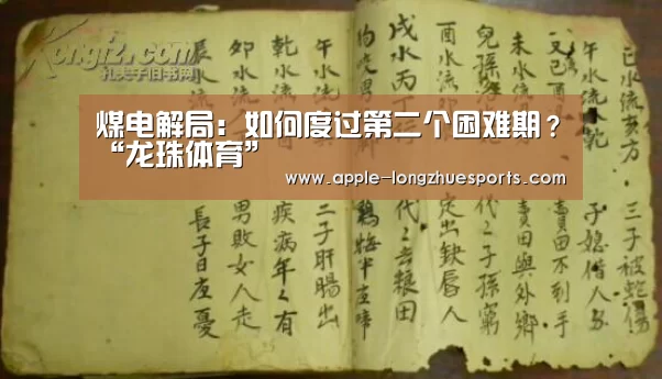 龙珠体育