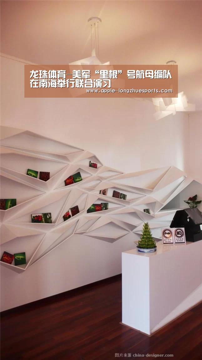 龙珠体育