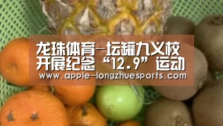 龙珠体育
