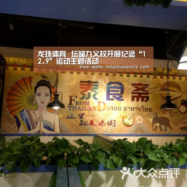 龙珠体育