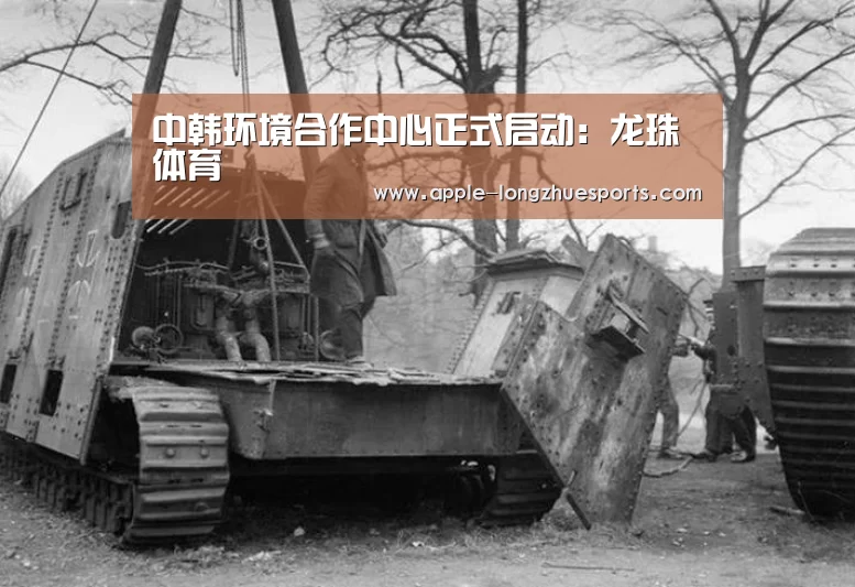 龙珠体育