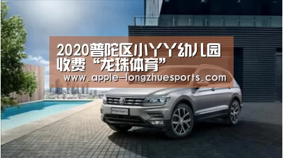 龙珠体育