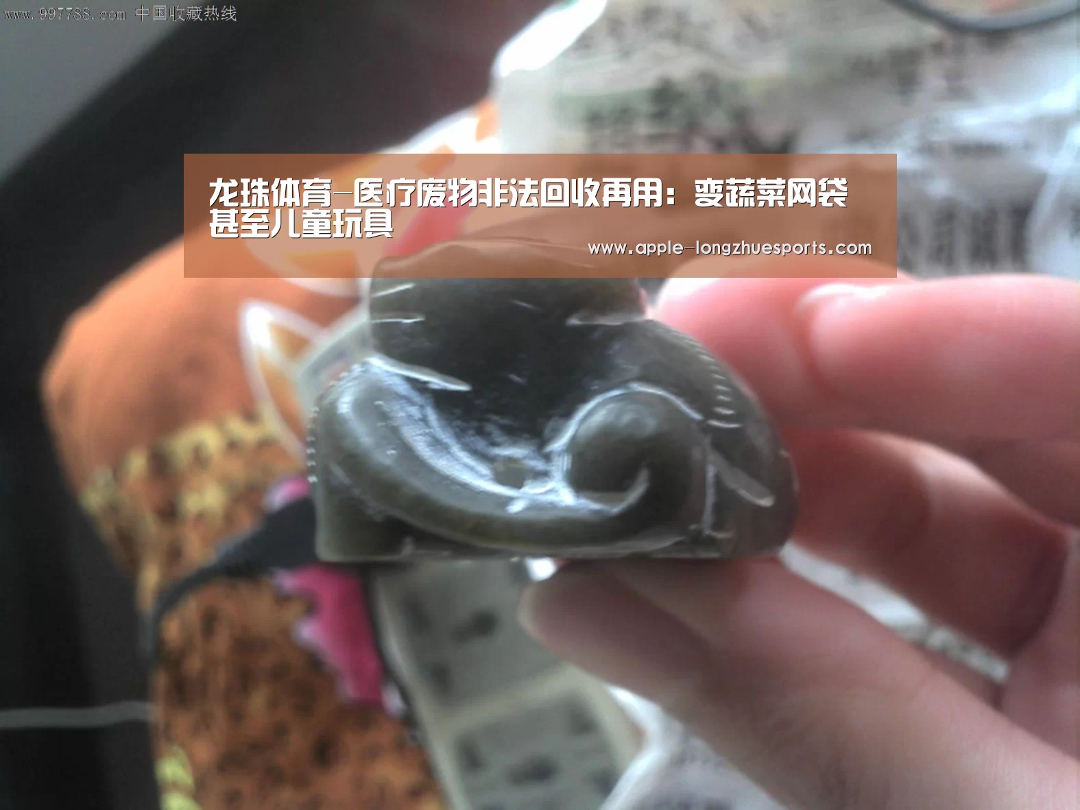 龙珠体育