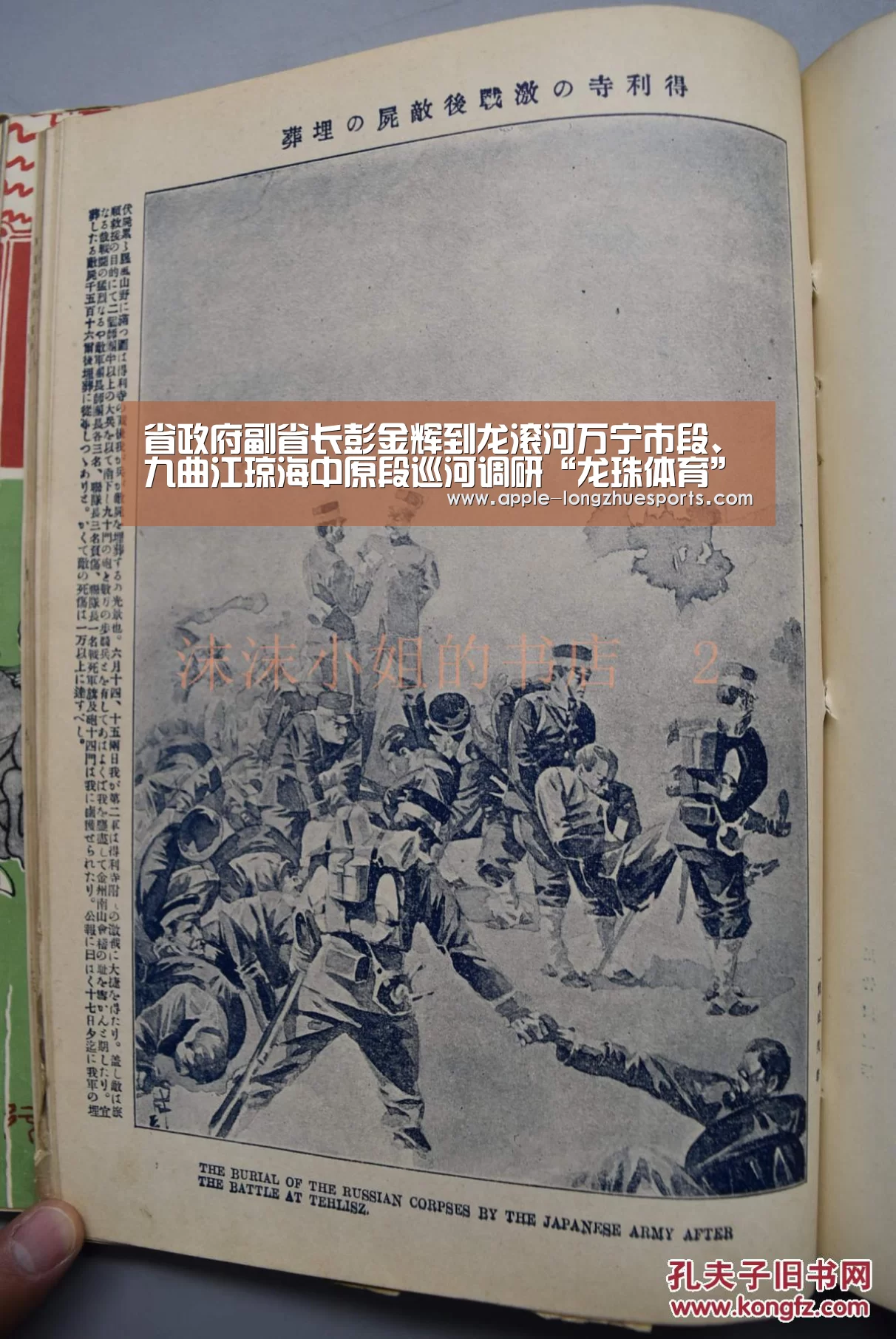 龙珠体育