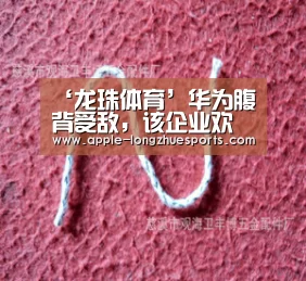 龙珠体育