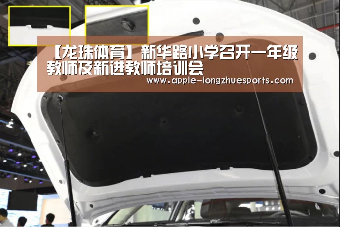 龙珠体育