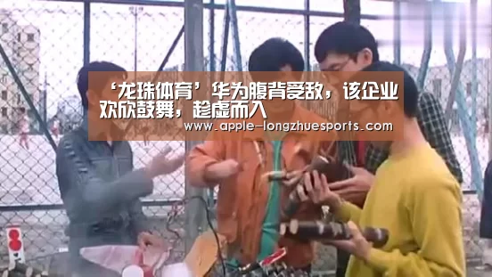 龙珠体育