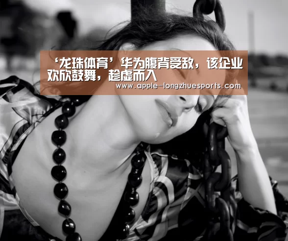 龙珠体育