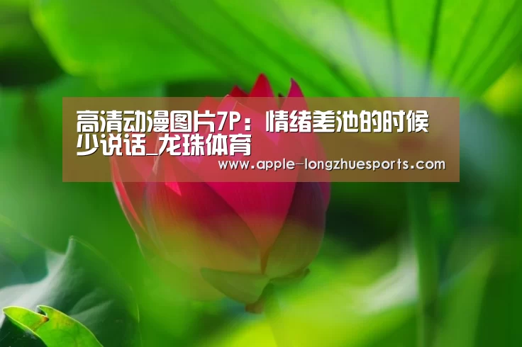龙珠体育