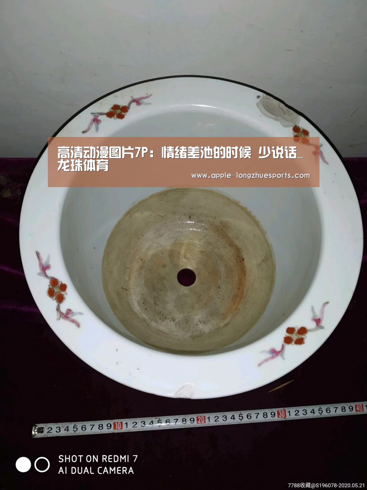 龙珠体育
