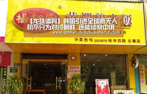 龙珠体育