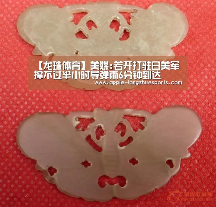 【龙珠体育】美媒:若开打驻日美军撑不过半小时导弹雨6分钟到达(图3) 龙珠体育