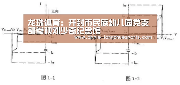 龙珠体育:开封市民族幼儿园党支部参观刘少奇纪念馆(图2) 龙珠体育