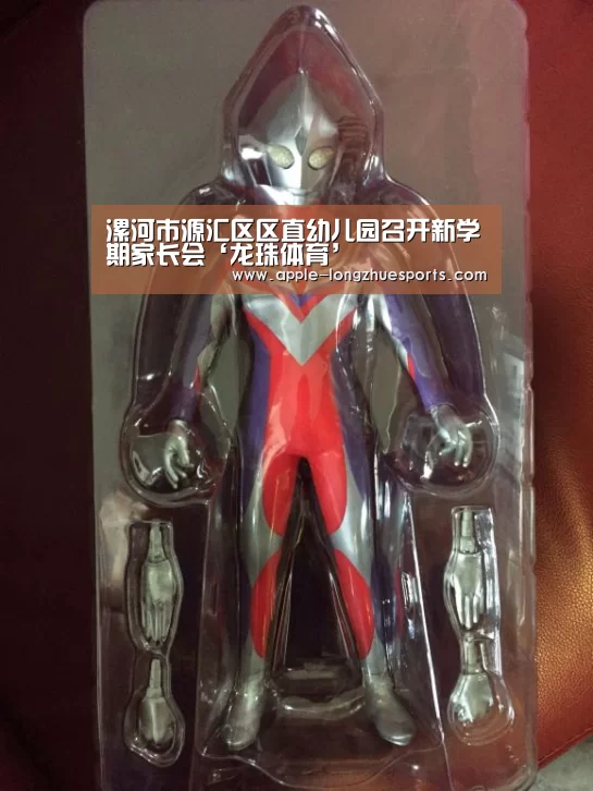 龙珠体育