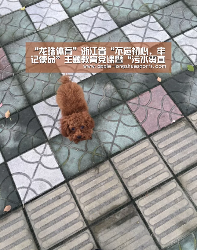 “龙珠体育”浙江省“不忘初心、牢记使命”主题教育党课暨“污水零直排区”建设现场会在义乌召开(图2) 龙珠体育