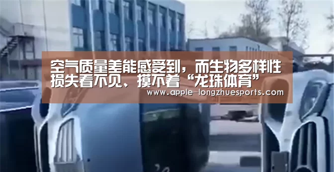 空气质量差能感受到,而生物多样性损失看不见、摸不着“龙珠体育”(图1) 龙珠体育