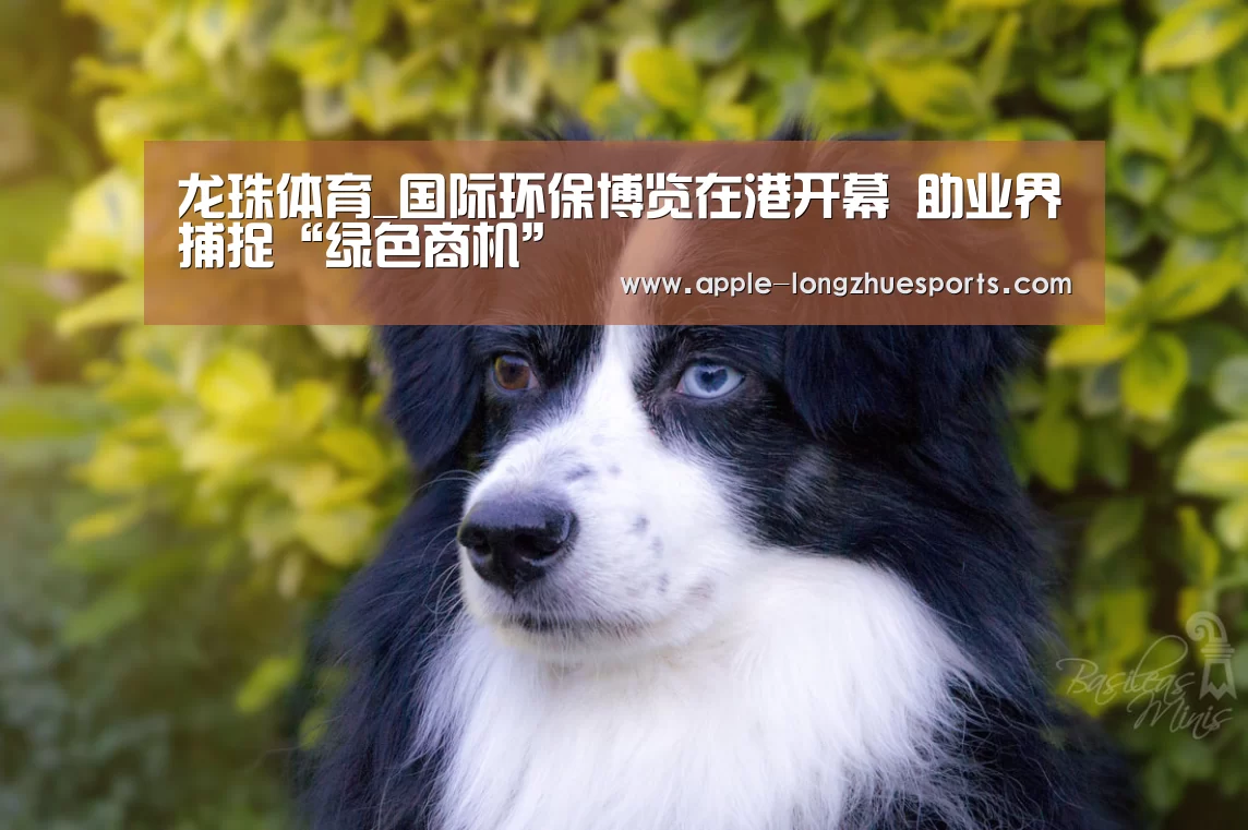 龙珠体育_国际环保博览在港开幕 助业界捕捉“绿色商机”